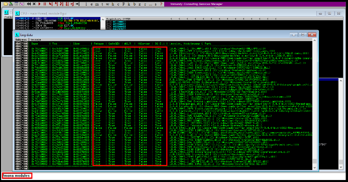 A Pentester's Guide To Exploiting Buffer Overflow Vulnerabilities